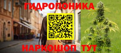 гидропоника Краснознаменск