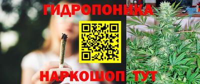 гидропоника Краснознаменск