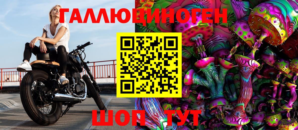 Камень-на-Оби  Галлюциногенные грибы Magic Shrooms  Вход с VPN 