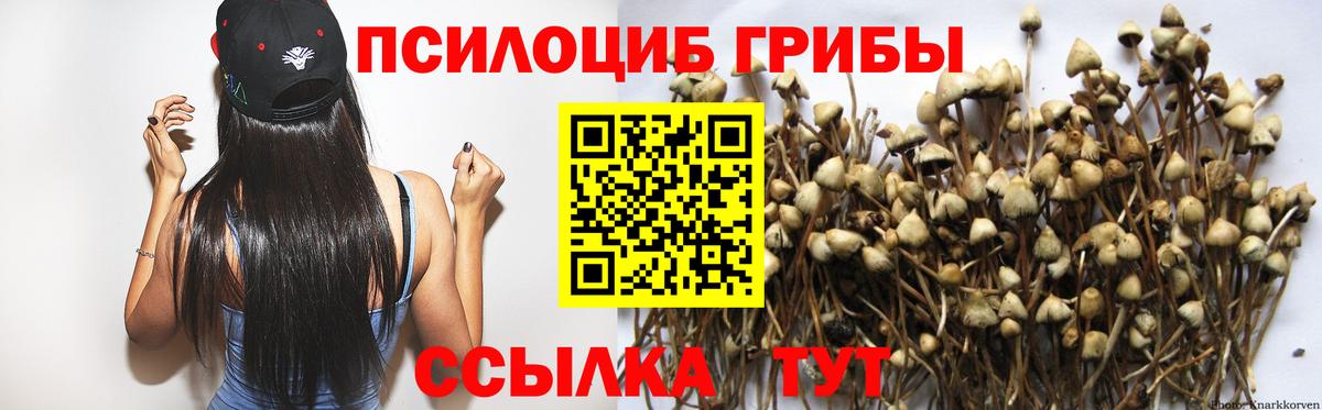 Галлюциногенные грибы прущие грибы Камень-на-Оби